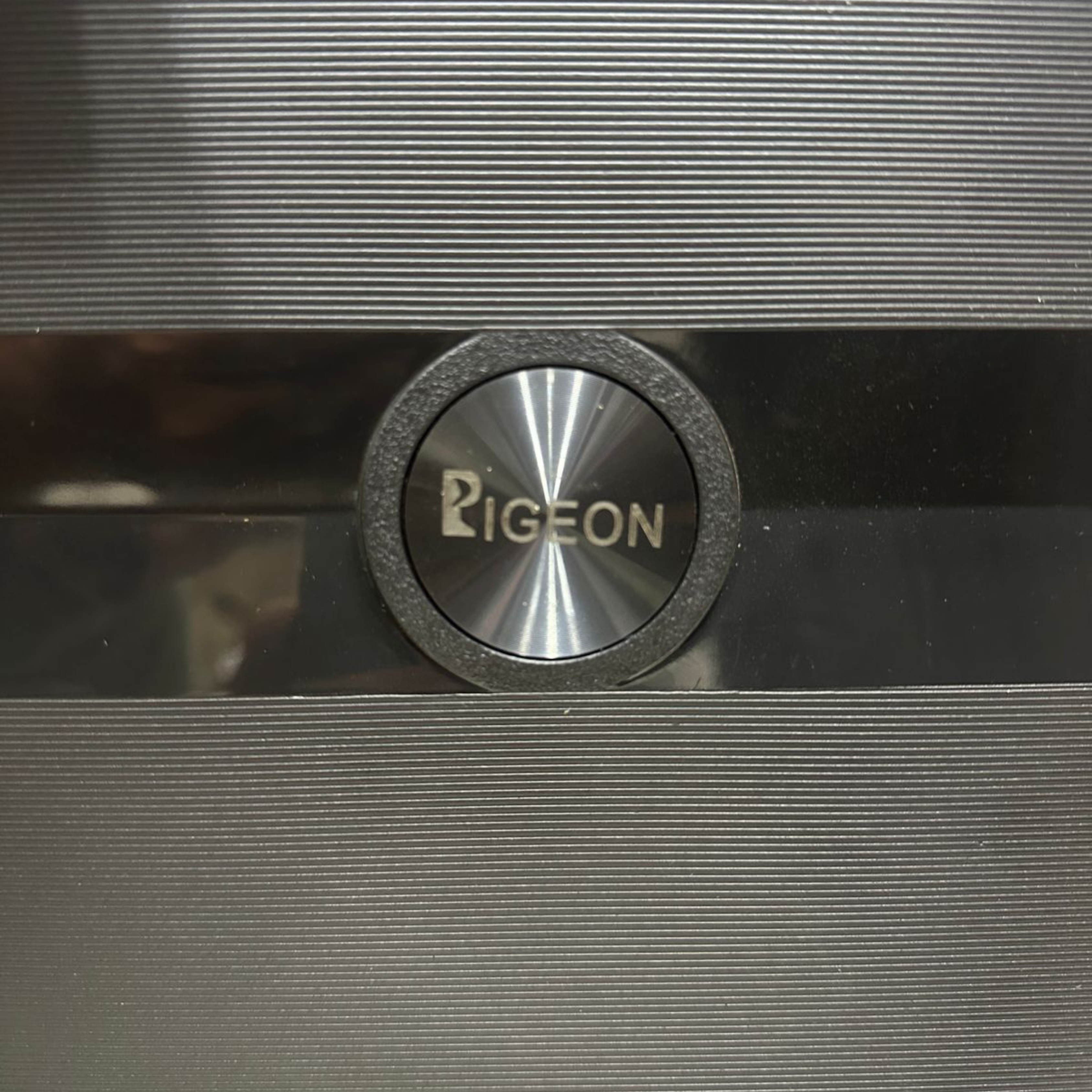 Pigeon Luggage Polypropylene 4 Piece Set: Durable Travel Companion; Unbreakable