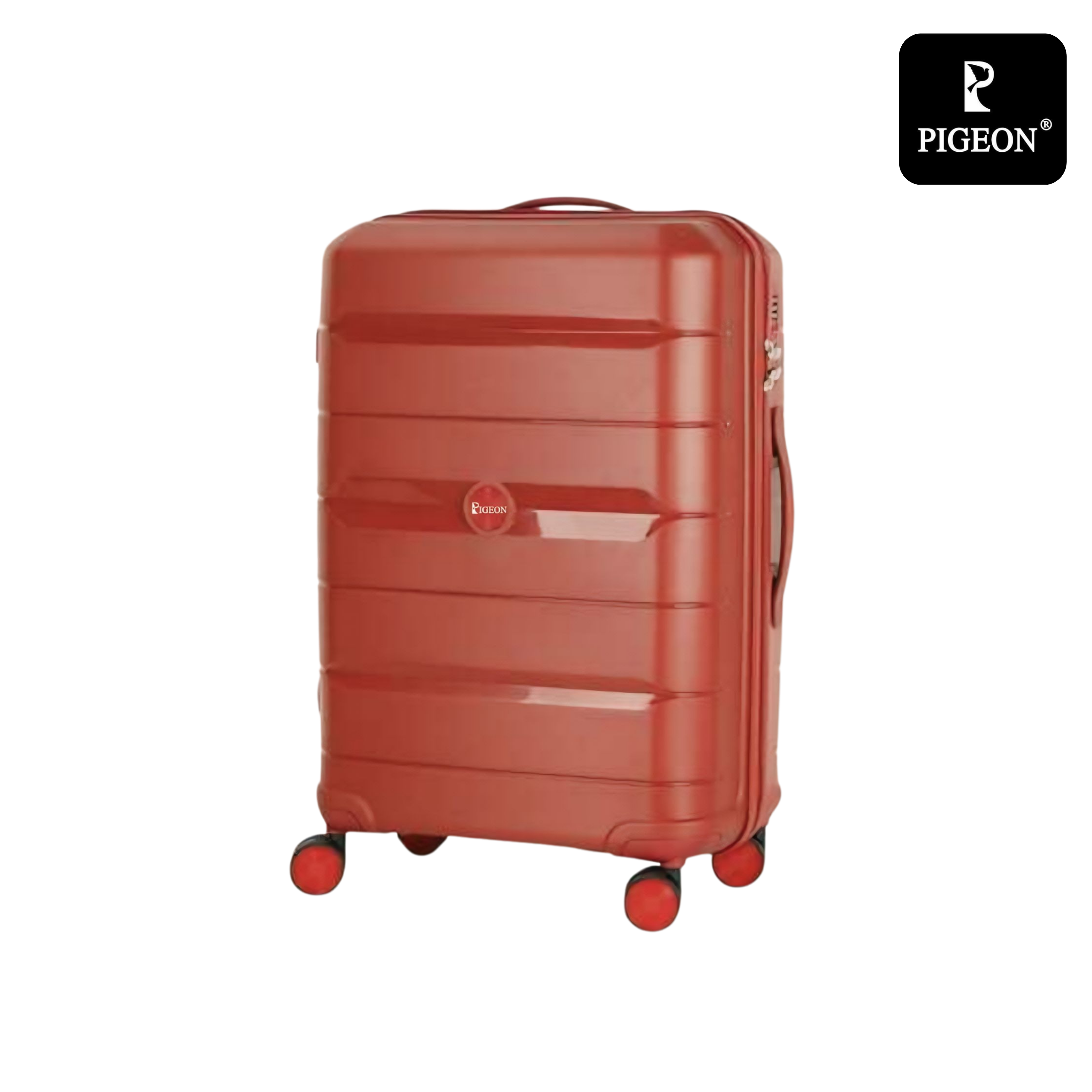 Pigeon Luggage Polypropylene 4 Piece Set: Durable Travel Companion; Unbreakable