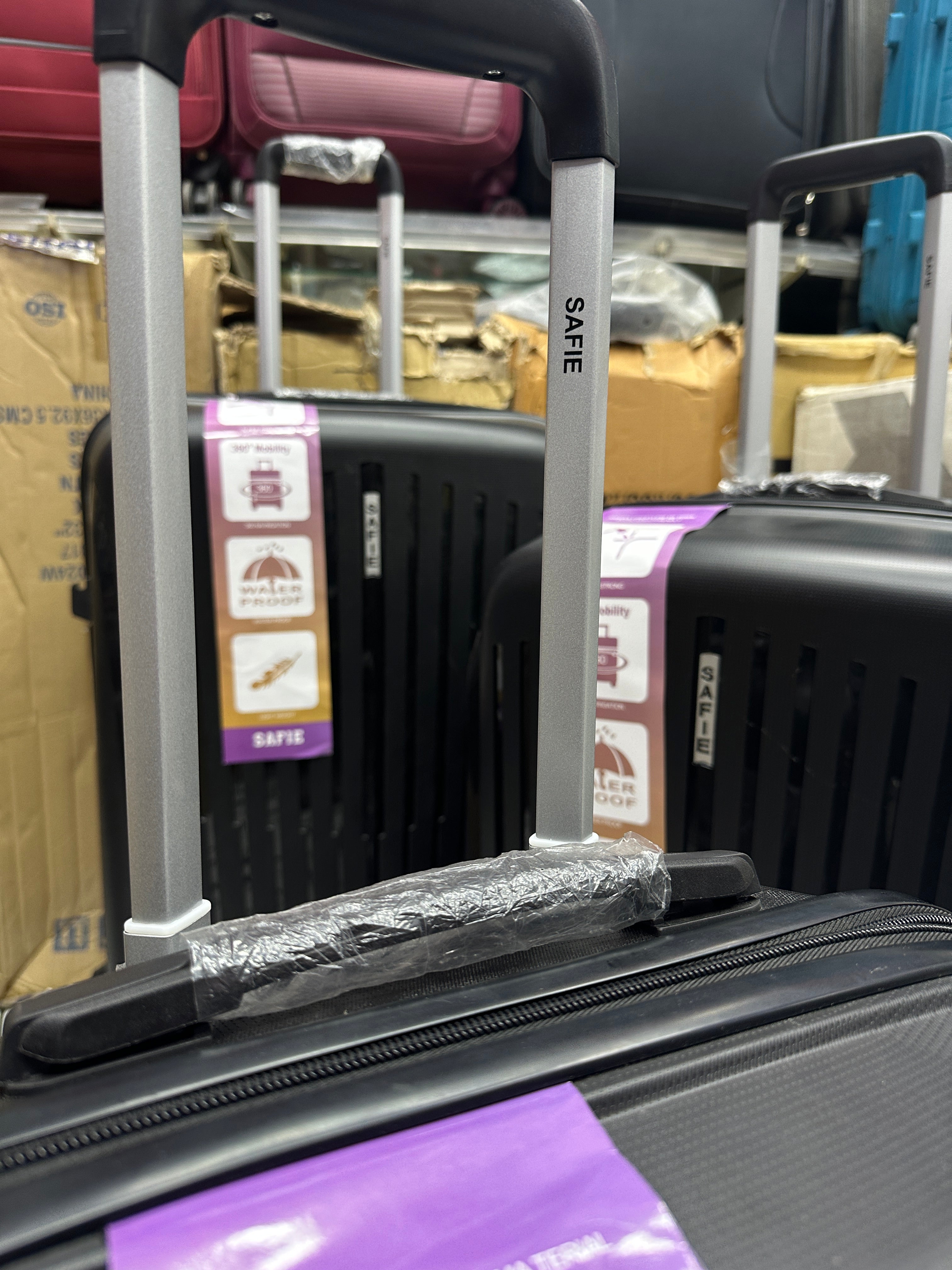 Safie Polypropylene luggage - Set of 3