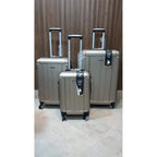 Pigeons Luggage - Model 2104